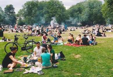 pic nic