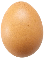 uovo