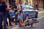 vi assicuro che prima abbaiava