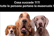 uomini con la museruola