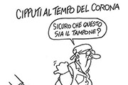 Cipputi